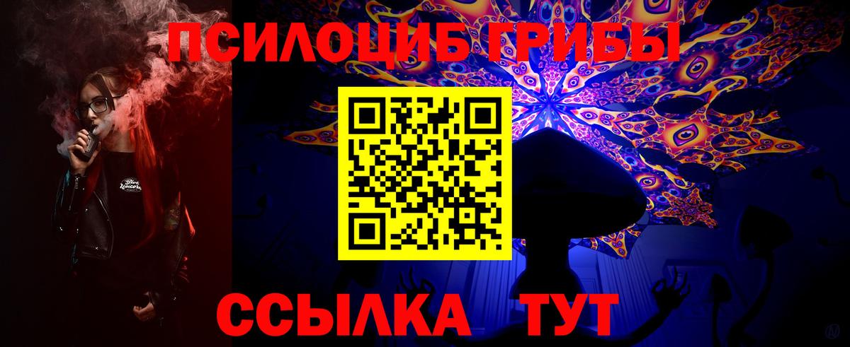 Псилоцибиновые грибы прущие грибы  Вход с VPN  Ковров  Галлюциногенные грибы прущие грибы 